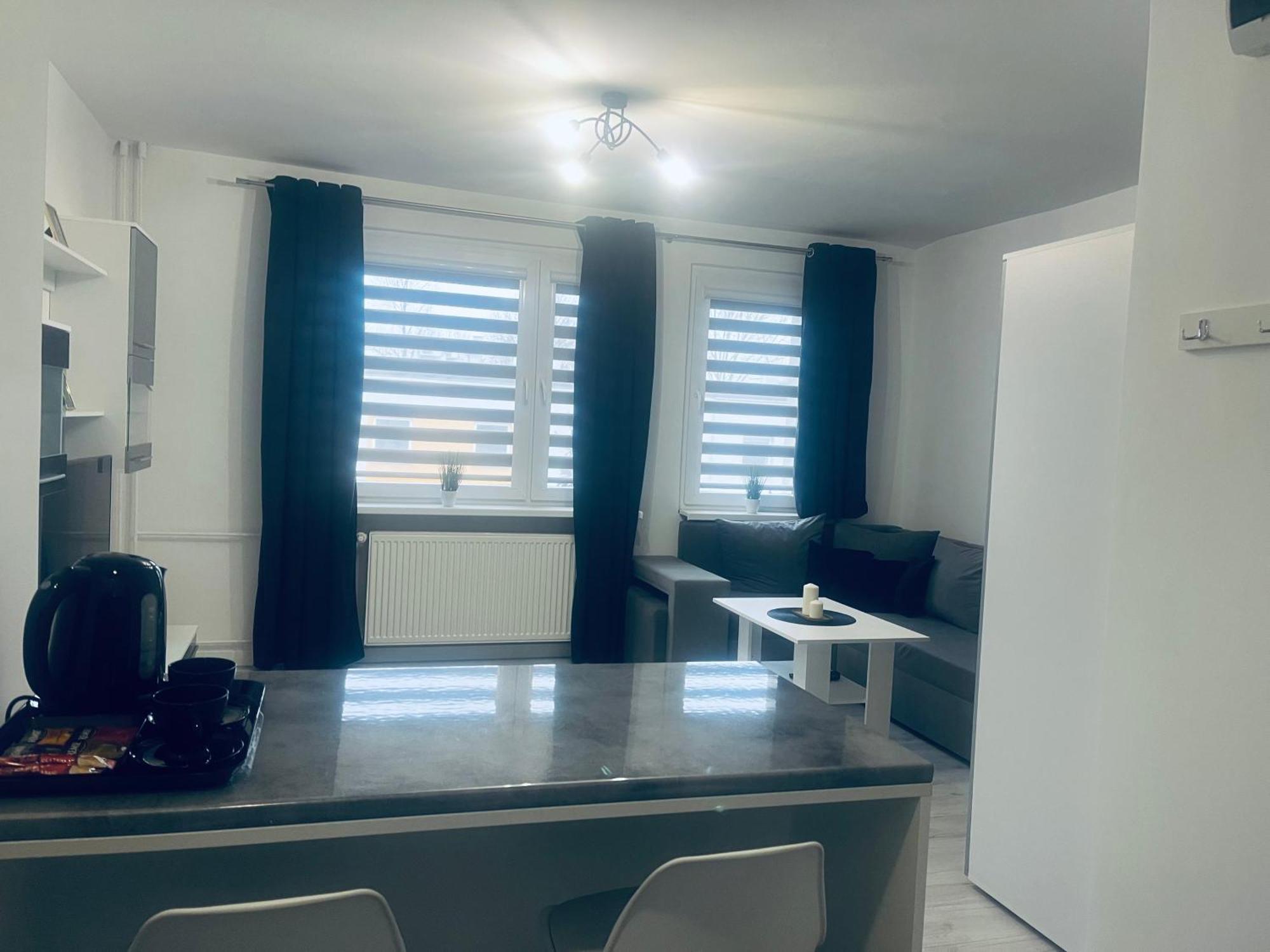 Silver Apartament Katowice Zewnętrze zdjęcie