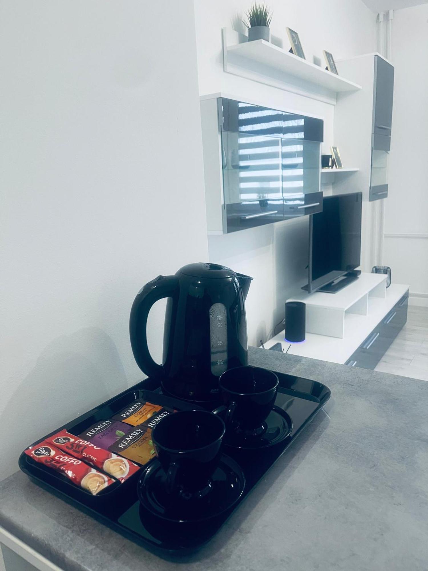 Silver Apartament Katowice Zewnętrze zdjęcie