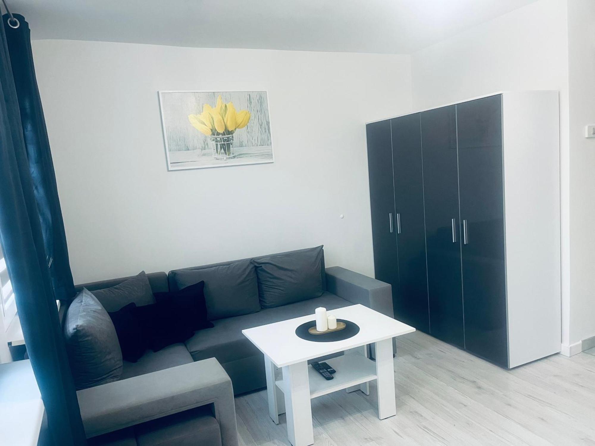 Silver Apartament Katowice Zewnętrze zdjęcie